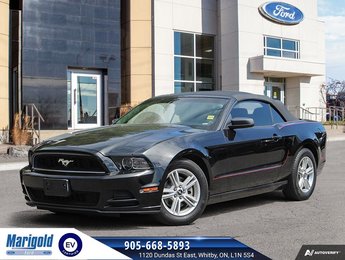 2013 Ford Mustang V6 Premium