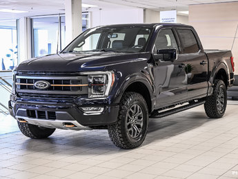 Ford F-150 TREMOR | 402A | TOIT | B&O | 2023