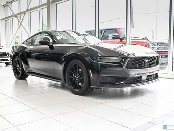 Ford Mustang EcoBoost Premium Fastback | 201A | NITE PONY| AUTO 2024