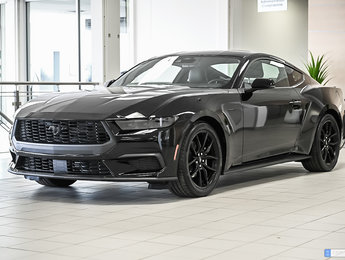 Ford Mustang EcoBoost Premium Fastback | NITE PONY | 201A | 2024