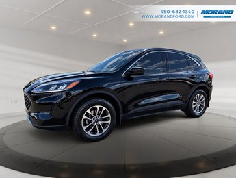 Ford Escape SE 2022