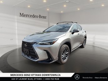 2025 Lexus NX 450h+