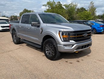 2022 Ford F-150 Tremor | Cam | USB | Bluetooth | Keyless | Cruise