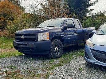 2010 Chevrolet Silverado 1500 WT