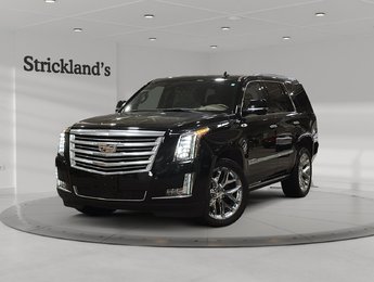 2020 Cadillac Escalade Platinum