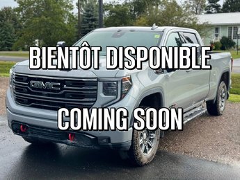 GMC Sierra 1500 AT4 2024