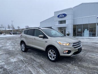 Ford Escape SE 2018