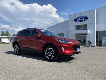 Ford Escape SEL 2020
