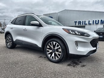 Ford Escape SEL 2020