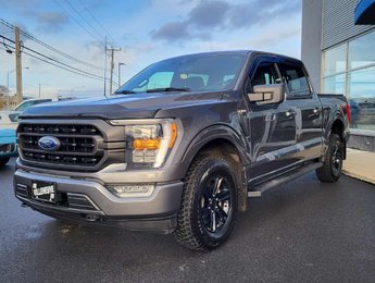 Ford F-150 XLT  SPORT 302A 2023