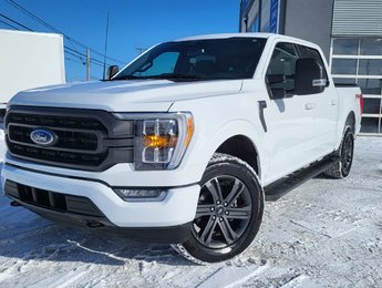 2023 Ford F-150 XLT SPORT  302A  FX4
