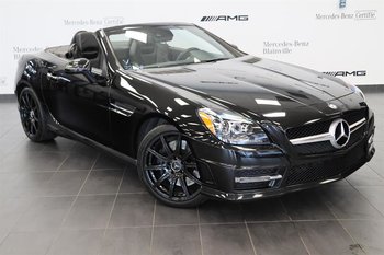 2014 Mercedes-Benz SLK250 Roadster Auto