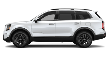 2025  Telluride