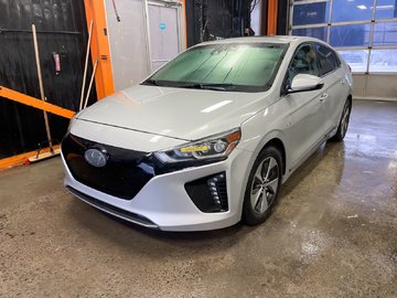 2019  Ioniq Electric