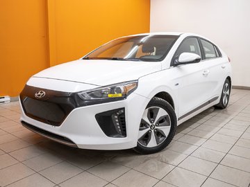 2019  Ioniq Electric