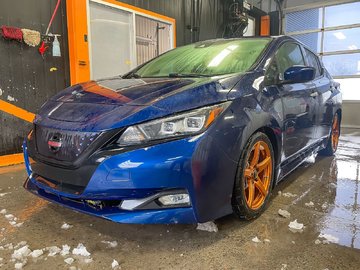 2018  Leaf