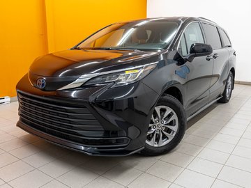 Sienna  2022