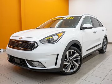 2017  NIRO