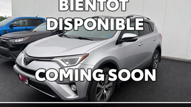 2017 Toyota RAV4 XLE