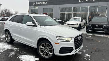 Q3 Progressiv, CUIR, TOIT, NAV