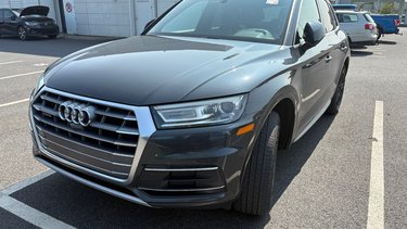 Q5 Progressiv