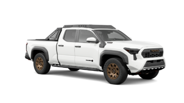 2025   Trailhunter