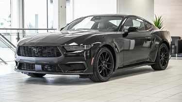 Mustang EcoBoost Premium Fastback | NITE PONY | 201A |