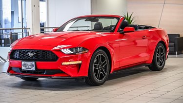 2023 Ford Mustang convertible Ecoboost Premium | CUIR REFROIDISSANTS | CARPLAY |