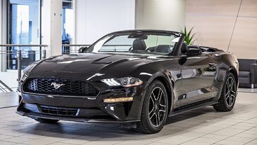 Ford Mustang convertible Ecoboost Premium | CUIR REFROIDISSANTS | CARPLAY | 2023