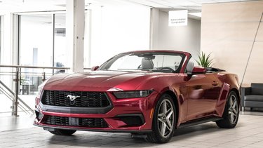 Mustang convertible PREMIUM | ECOBOOST | AUTO | CARPLAY |