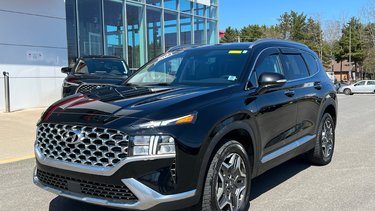 2023   Luxury