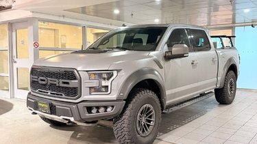 2019   Raptor