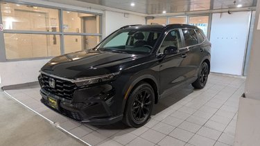 2023   SPORT