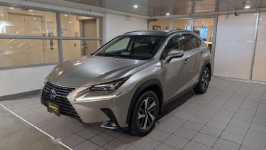2018   NX 300h