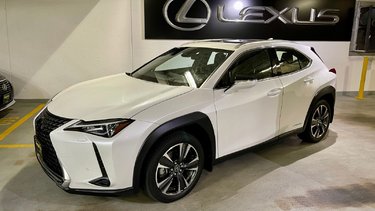 2020   UX 250h