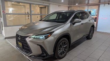 2022   NX 250