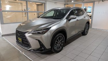 2022   NX 250