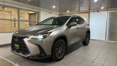 2023   NX 250