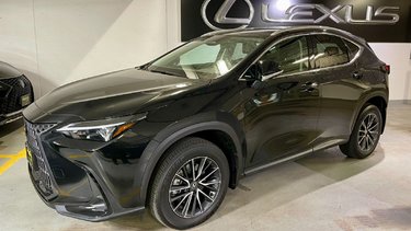 2024   NX 250