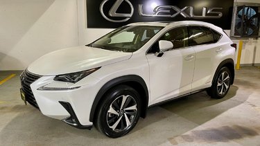2021   NX 300h