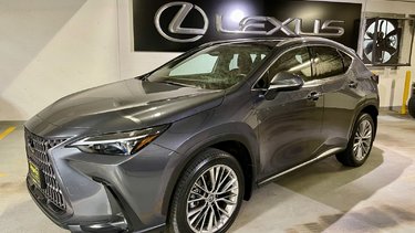 2022   NX 350