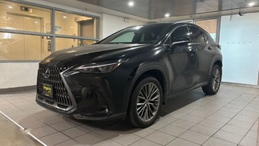 2022   NX 350