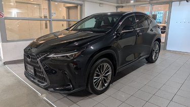 2022   NX 350