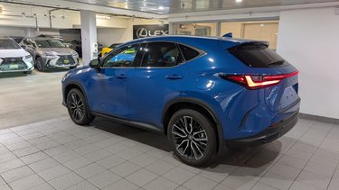 2024   NX 350