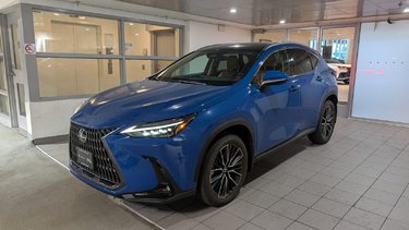 2024   NX 350