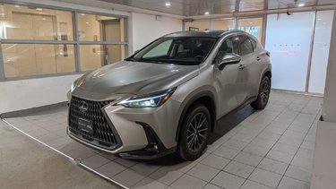 2025   NX 350