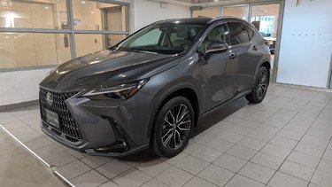 2025   NX 350
