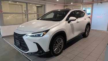 2025   LUXURY PACKAGE