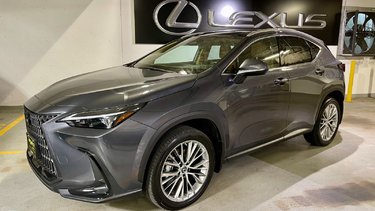 2022   NX 350h