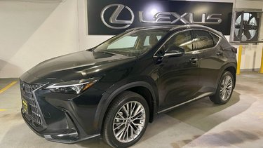 2022   ULTRA PREMIUM
